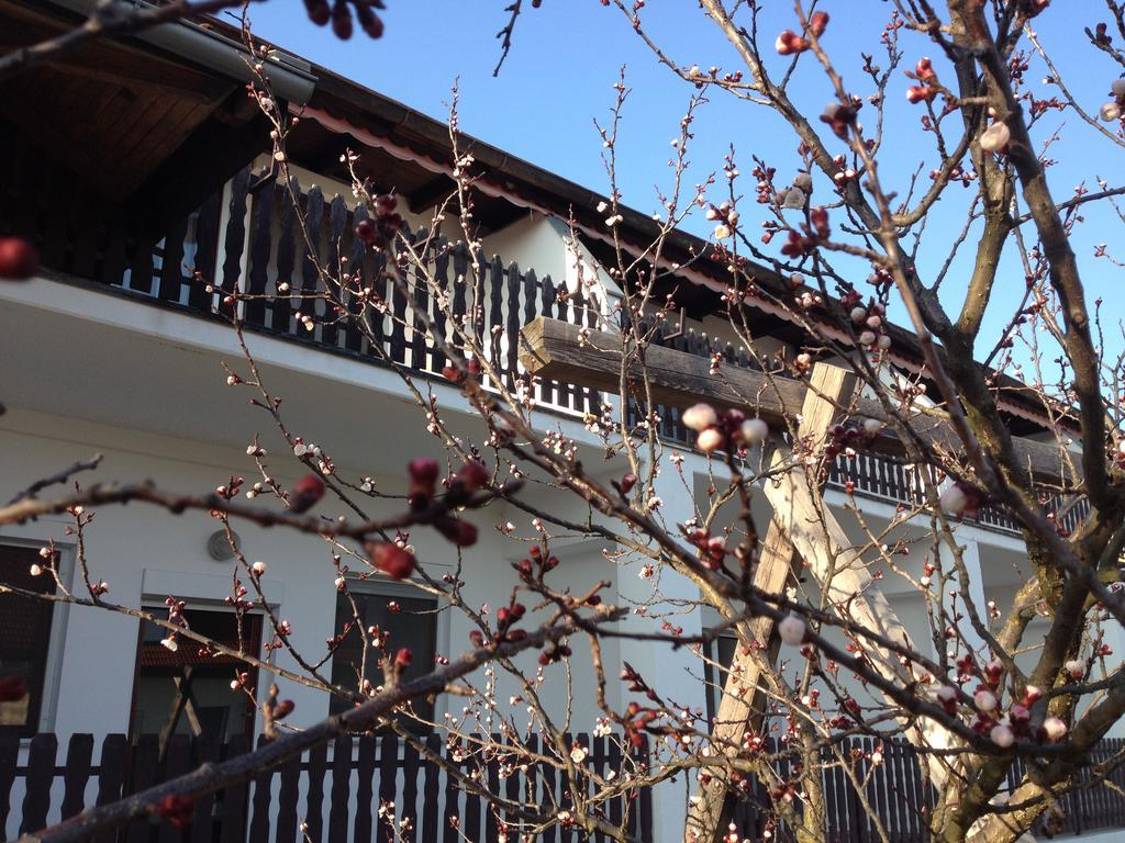 Hotel Pension Anna Rust Exterior foto